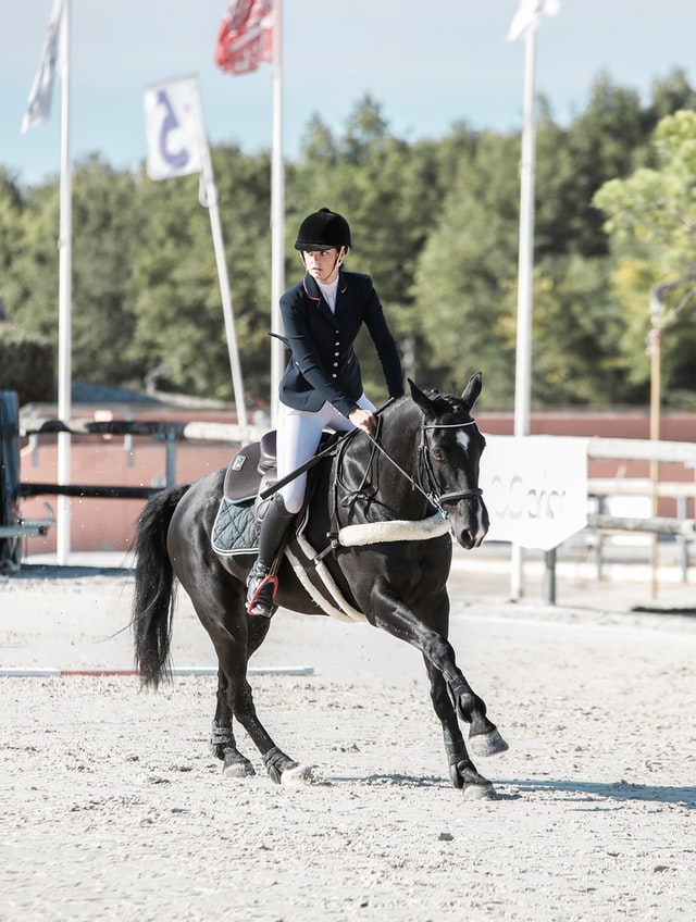 How Do I Find Horseback Riding Near Me? Cornerstone Equine Academy