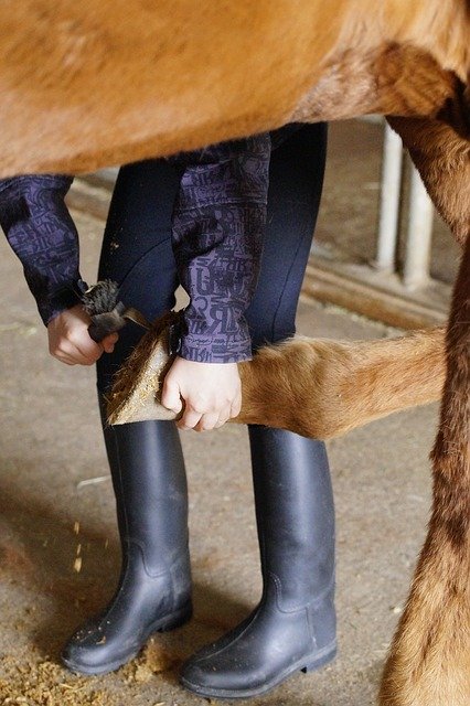 How to Properly Clean Your Horse’s Hooves