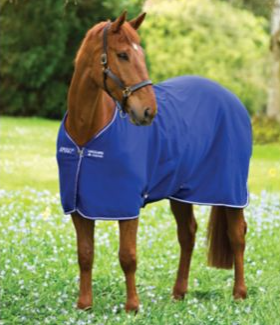 7 Turnout Blankets For Horses For Less Than $300
