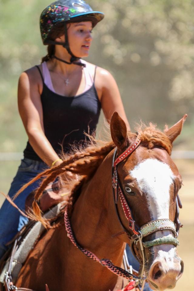 How Do I Find Horseback Riding Near Me? - Cornerstone ...