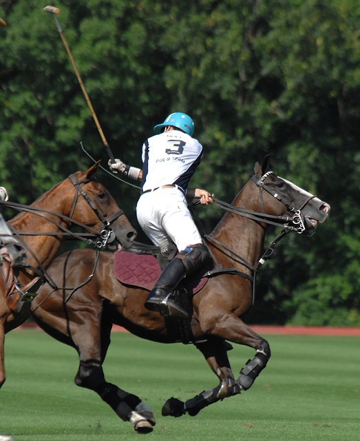 22 Polo Terms You Need to Know