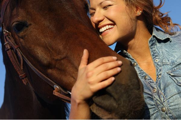 a horse showing affection to his owner